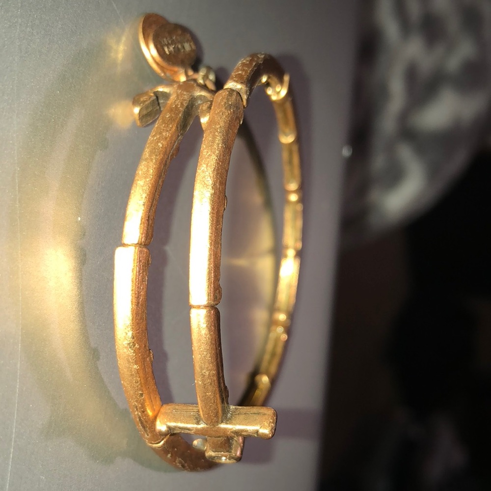 Alex and Ani Anchor Wrap Bracelet